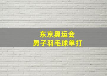 东京奥运会 男子羽毛球单打